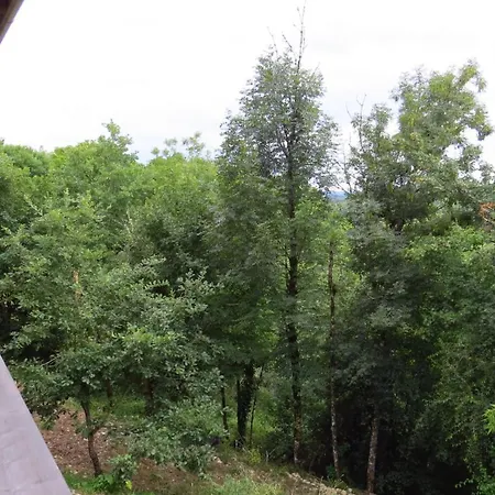 Maison Bois Cœur Du Lot Bellefont-la Rauze
